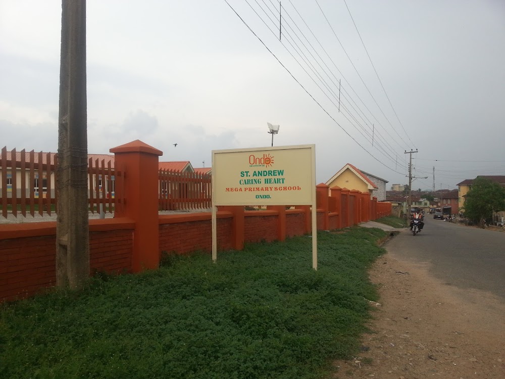 Owo Township Stadium photo 3